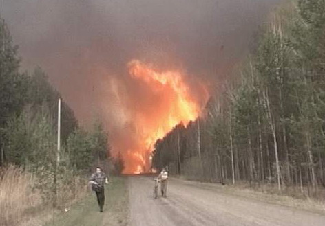 14:23 Памятка населению: если пожар в лесу ...